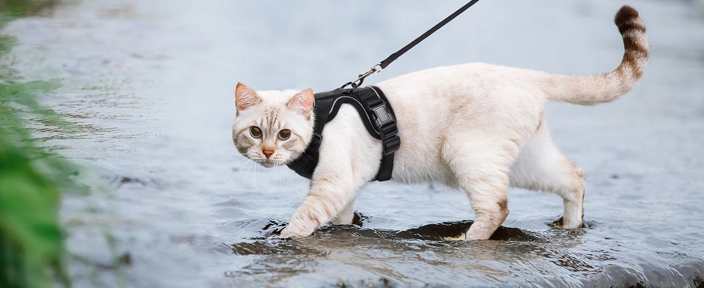 Escape-Proof Cat Harness & Leash Set – Soft, Adjustable Vest for Walking