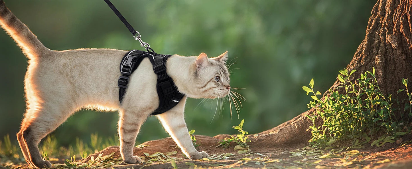 Escape-Proof Cat Harness & Leash Set – Soft, Adjustable Vest for Walking