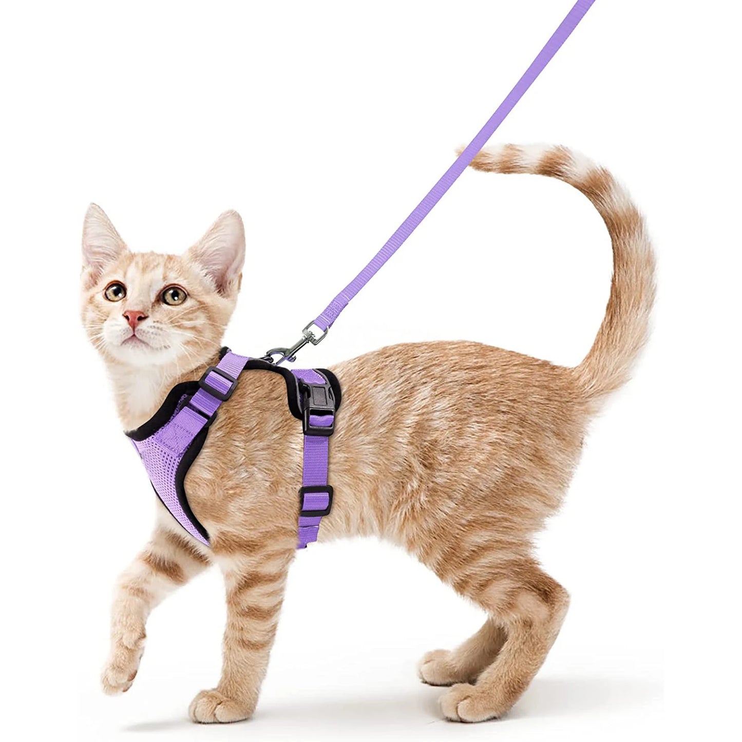 Escape-Proof Cat Harness & Leash Set – Soft, Adjustable Vest for Walking