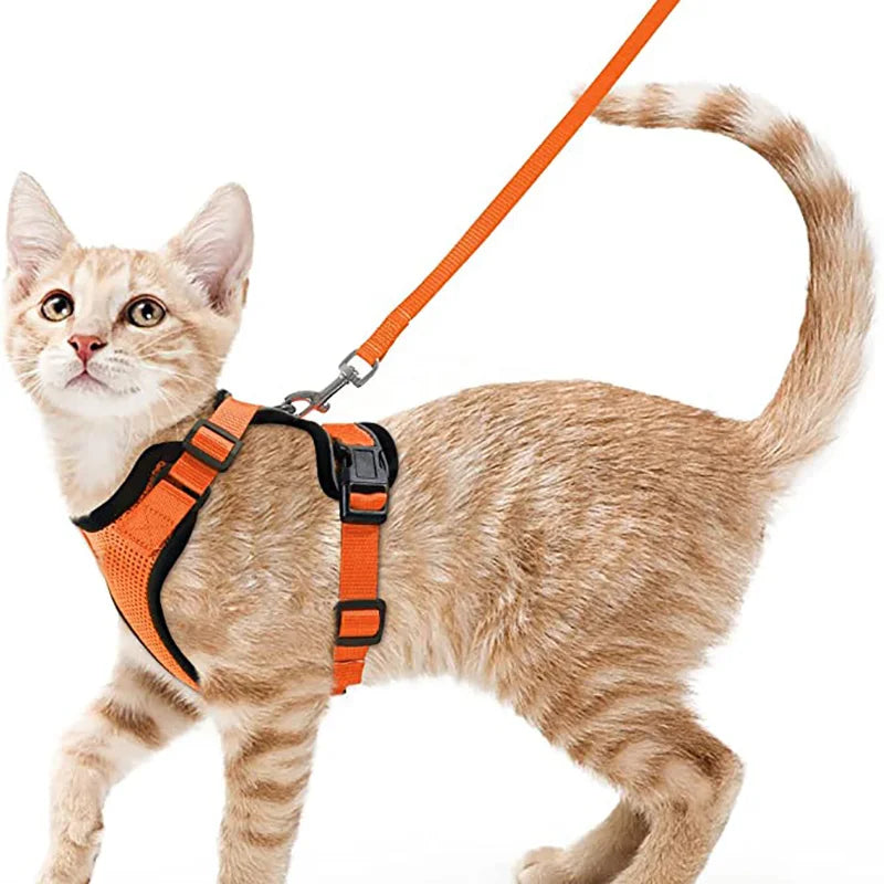 Escape-Proof Cat Harness & Leash Set – Soft, Adjustable Vest for Walking