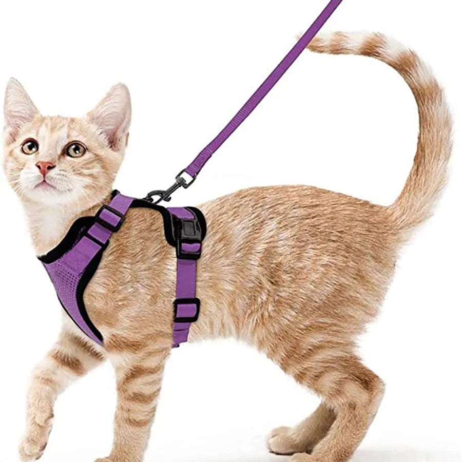 Escape-Proof Cat Harness & Leash Set – Soft, Adjustable Vest for Walking