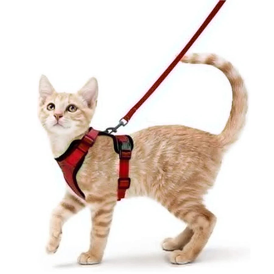 Escape-Proof Cat Harness & Leash Set – Soft, Adjustable Vest for Walking