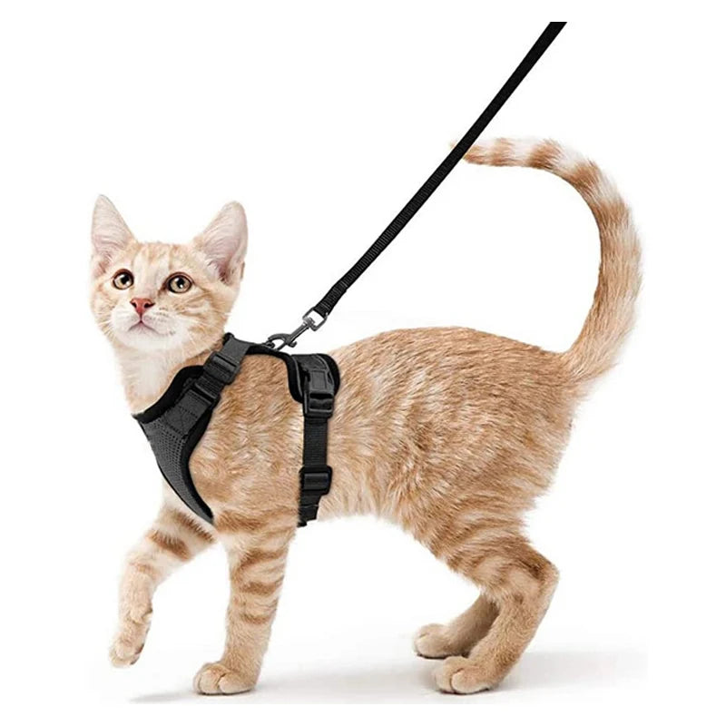 Escape-Proof Cat Harness & Leash Set – Soft, Adjustable Vest for Walking