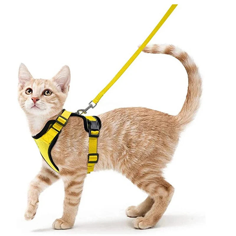 Escape-Proof Cat Harness & Leash Set – Soft, Adjustable Vest for Walking