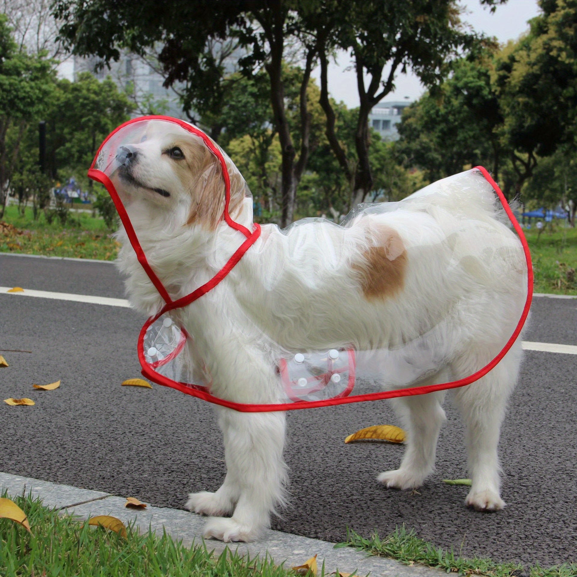 Transparent Dog Raincoat with Hood + Waterproof Shoes – Stylish & Protective