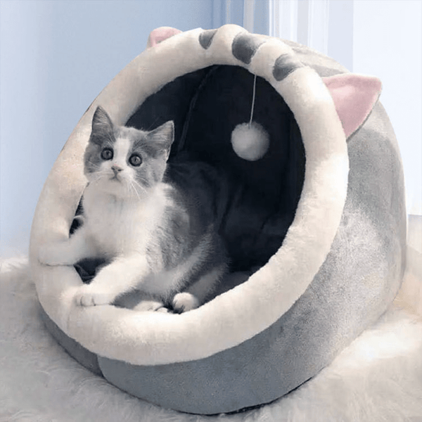 Gray and white kitten lying inside a cozy semi-enclosed cat house with soft fur lining
