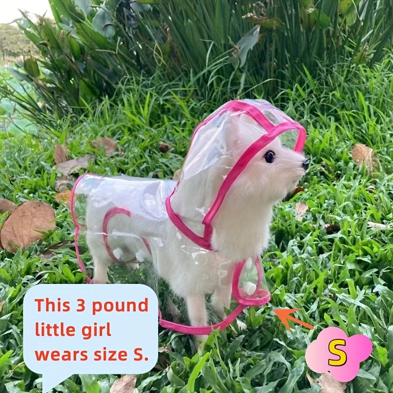 Small white dog in transparent raincoat and waterproof blue shoes – outdoor pet outfit
