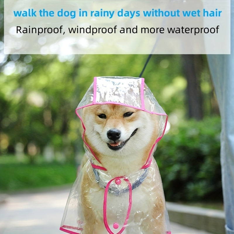 Small white dog in transparent raincoat and waterproof blue shoes – outdoor pet outfit
