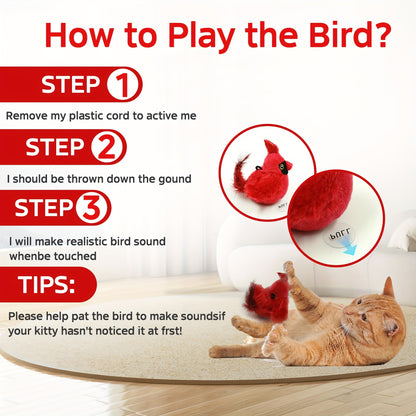 Interactive Cat Toy with Real Bird Sound – Best Toy to Keep Cats Active