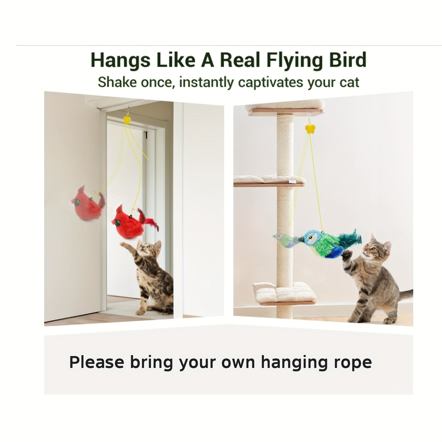 Interactive Cat Toy with Real Bird Sound – Best Toy to Keep Cats Active