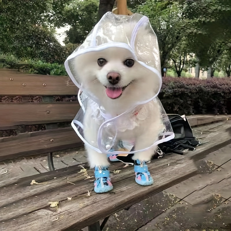 Small white dog in transparent raincoat and waterproof blue shoes – outdoor pet outfit
