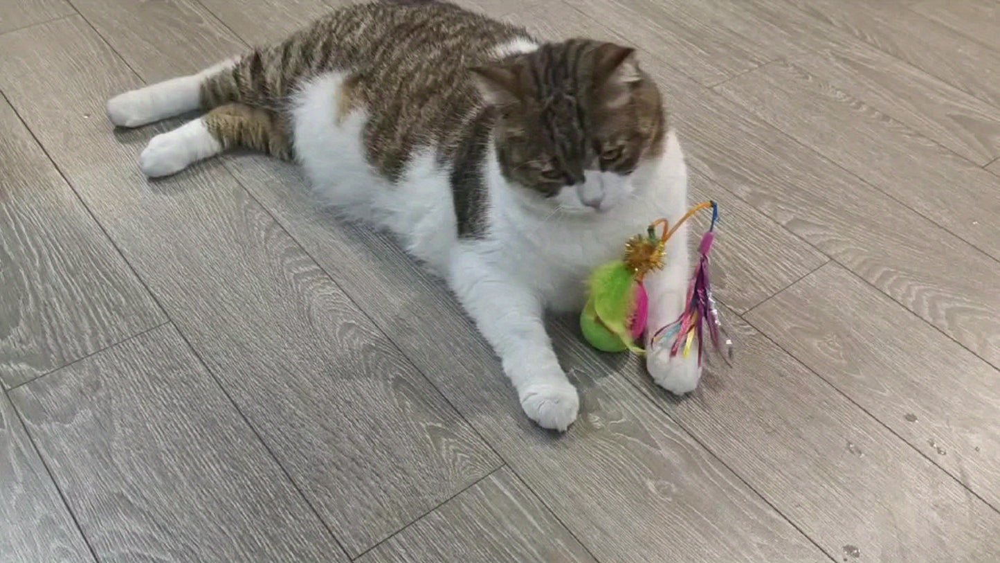 Interactive Cat Toy with Real Bird Sound – Best Toy to Keep Cats Active
